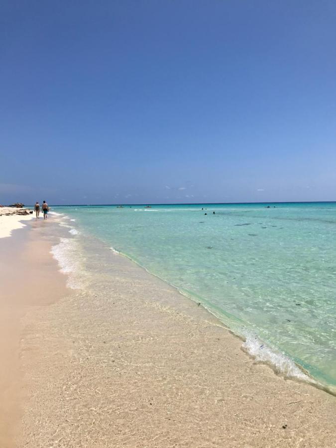 Villa Del Mar Πλάγια Ντελ Κάρμεν Εξωτερικό φωτογραφία